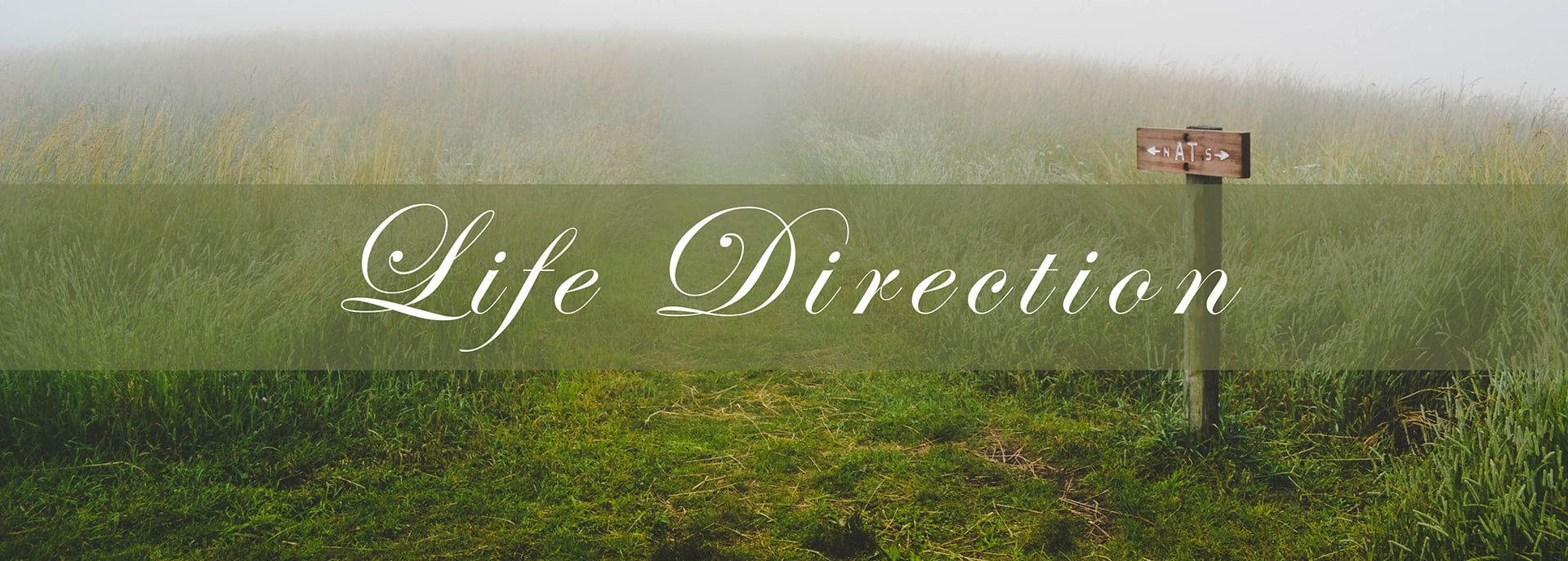 Life coaching and life direction