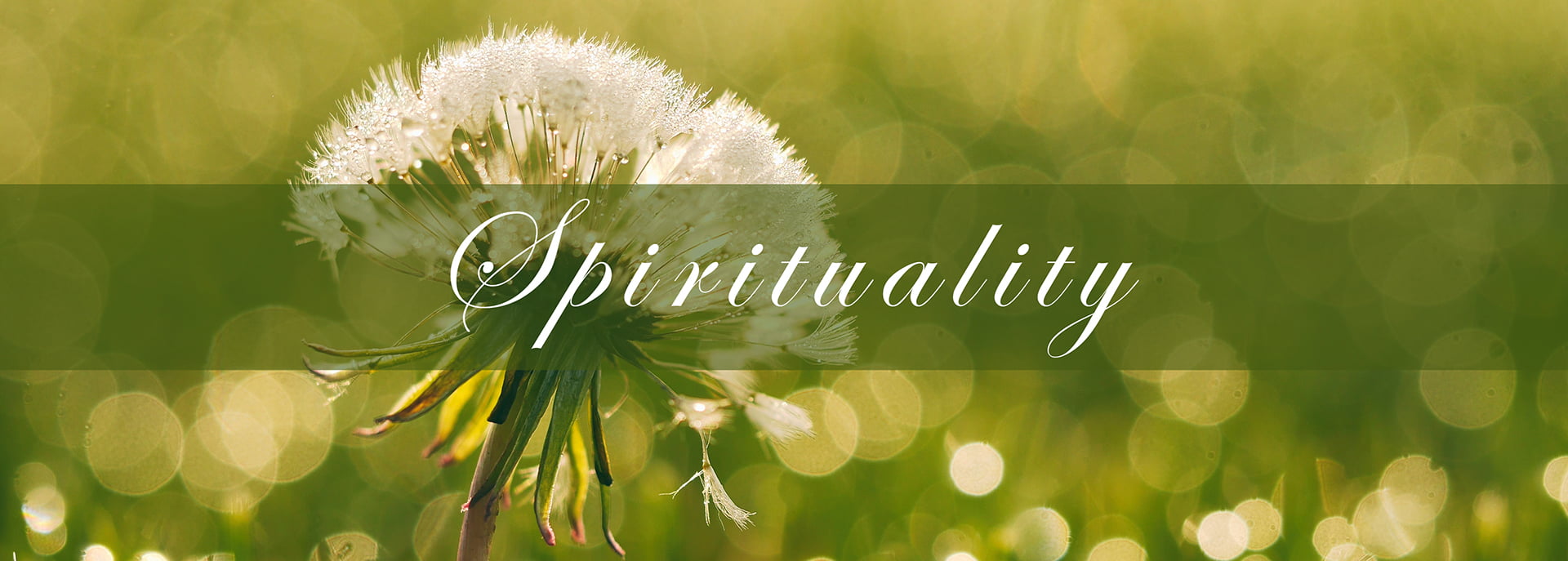 Spirituality counselling